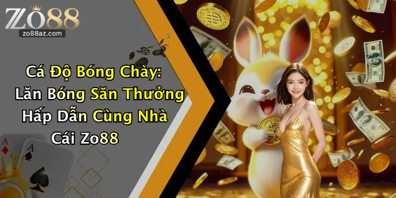Cá Độ Bóng Chày: Lăn Bóng Săn Thưởng Hấp Dẫn Cùng Nhà Cái Zo88