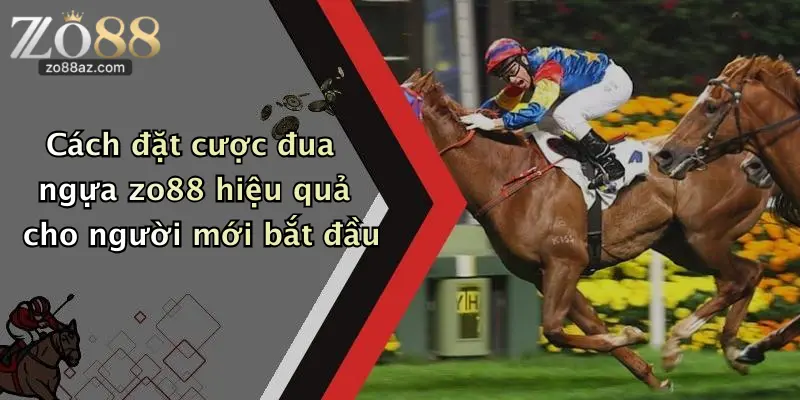 Cách đặt cược đua ngựa zo88 hiệu quả cho người mới bắt đầu