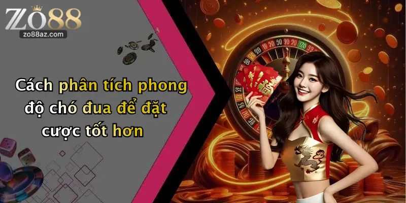 Cách phân tích phong độ chó đua để đặt cược tốt hơn