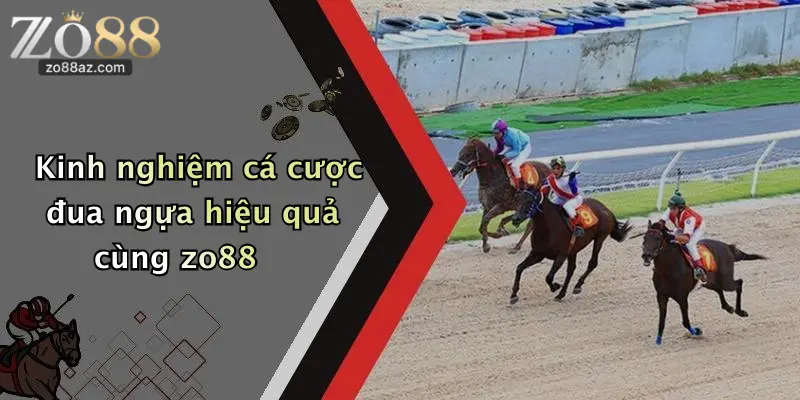 Kinh nghiệm cá cược đua ngựa hiệu quả cùng zo88