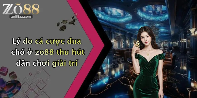 Lý do cá cược đua chó ở zo88 thu hút dân chơi giải trí