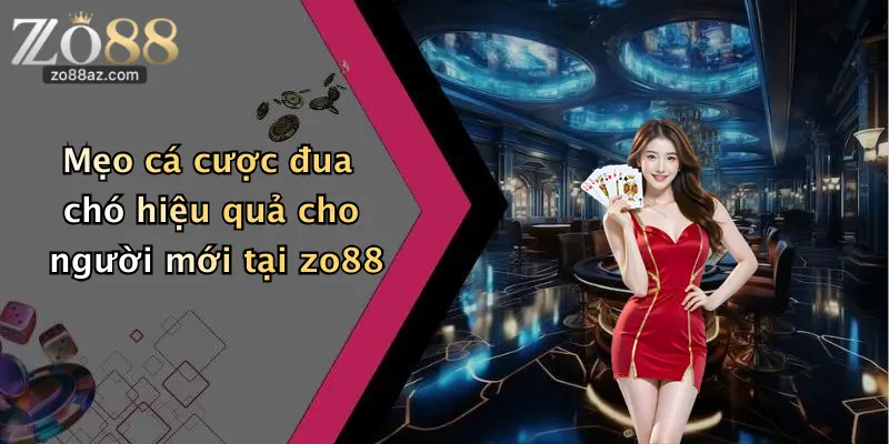 Mẹo cá cược đua chó hiệu quả cho người mới tại zo88