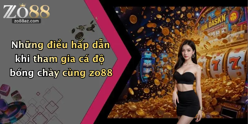 Những điều hấp dẫn khi tham gia cá độ bóng chày cùng zo88