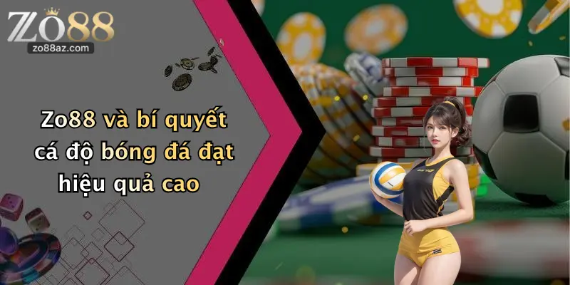 Zo88 và bí quyết cá độ bóng đá đạt hiệu quả cao